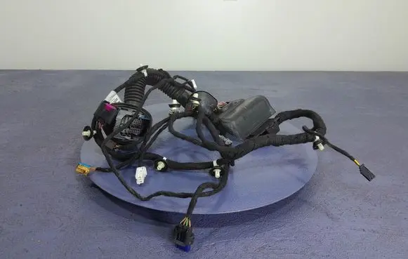 Other wiring loom