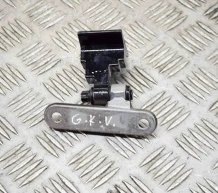 BMW 5 F10 F11 Rear door lower hinge 7185633