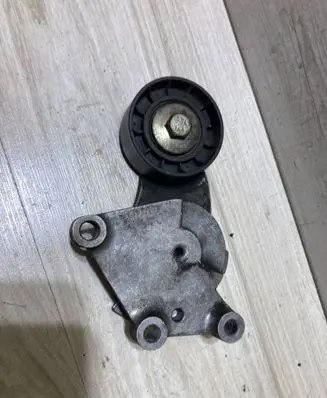 Ford Ecosport Timing belt/chain tensioner 