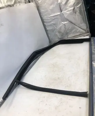 Cupra Tavascan Rubber seal front door window/glass 544581462