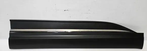 Renault Koleos II Front door trim (molding) 808203752R