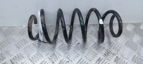 Rear coil spring