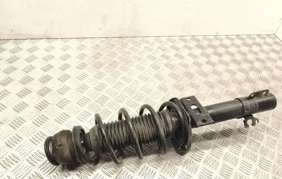 Skoda Fabia Mk3 (NJ) Front shock absorber/damper 6R0413031BF