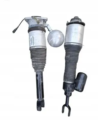 Volkswagen Phaeton Rear shock absorber/damper 3D0616002G