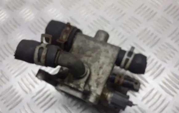 Thermostat/thermostat housing