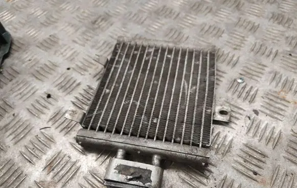 Mercedes-Benz CL C215 Engine oil radiator A2155000000