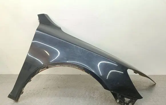 Skoda Octavia Mk2 (1Z) Fender