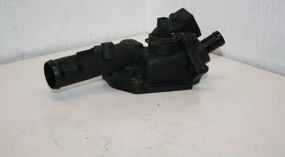 Thermostat/thermostat housing