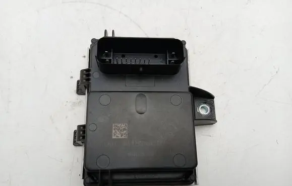 Opel Ampera Fuel injection pump control unit/module 20867260 93405200 5DE93421601AC