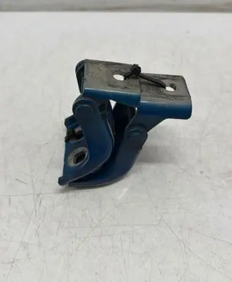 Renault Kangoo II Front door hinge set 115113502