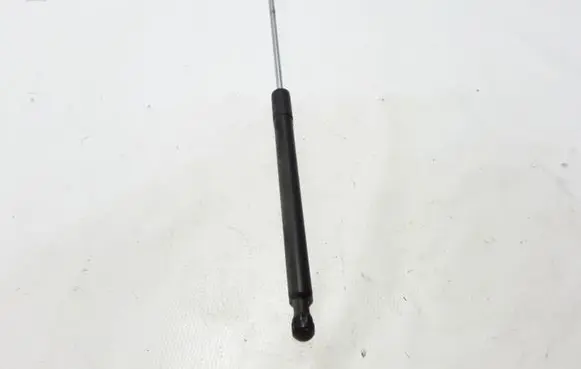 Renault Laguna III Tailgate strut 844300006R