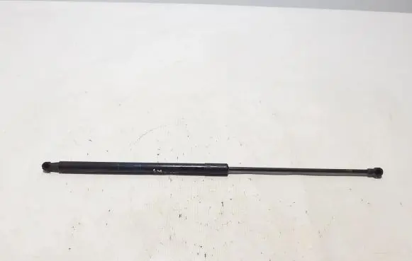Tailgate strut