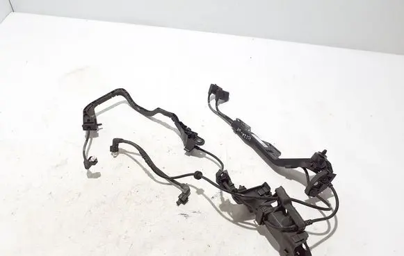 Other wiring loom