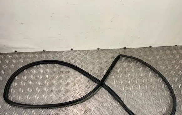 Toyota RAV 4 (XA50) Front door rubber seal