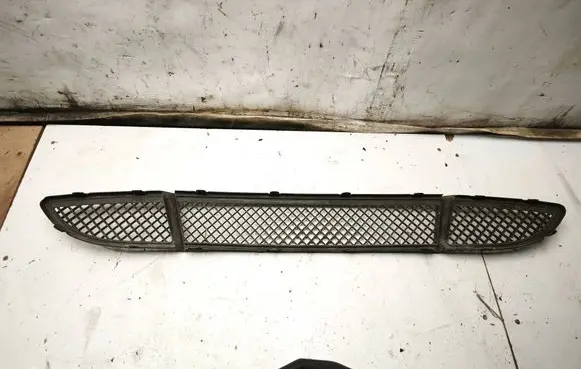 BMW 1 E81 E87 Front bumper lower grill 7118161 22944911