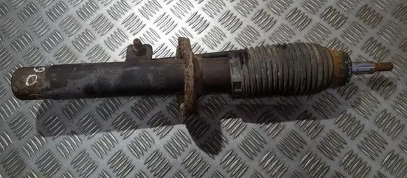 Peugeot 406 Front shock absorber/damper