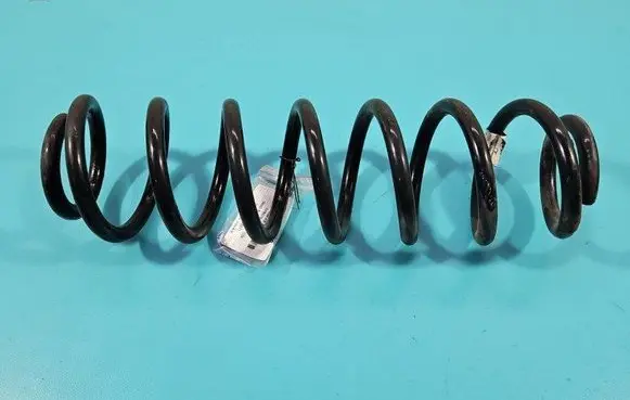 Rear coil spring
