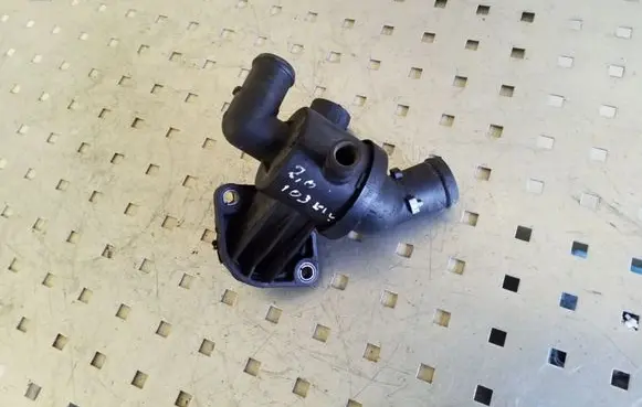 Thermostat/thermostat housing