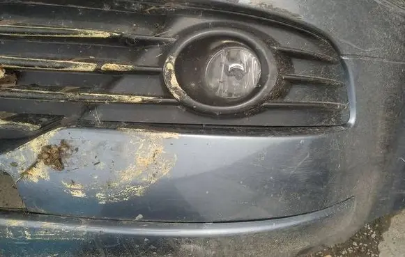 Citroen C4 I Front bumper lower grill