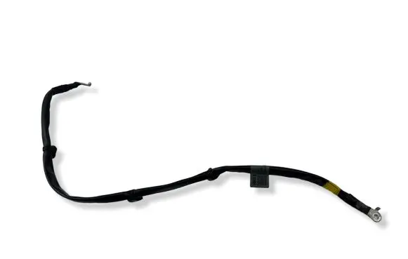 KIA EV6 Negative earth cable (battery) 91863CV010A