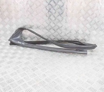 Jaguar I-Pace Rubber seal front coupe door J9D321597A