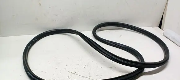 BMW X1 F48 F49 Front door rubber seal 7349628