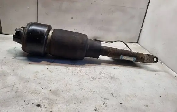 Mercedes-Benz CLS C219 Air suspension front shock absorber C086078 020716029913