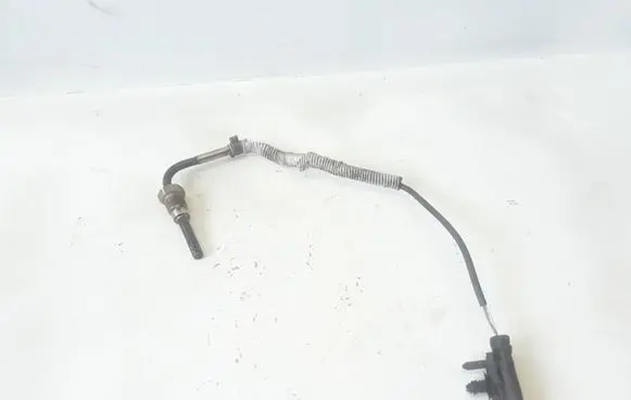 Volvo V60 Exhaust gas temperature sensor 31319841