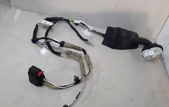 Rear door wiring loom