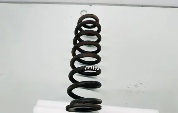 Rear coil spring