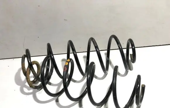 Rear coil spring