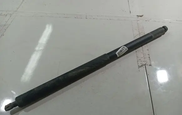 Opel Insignia A Tailgate/trunk strut/damper 