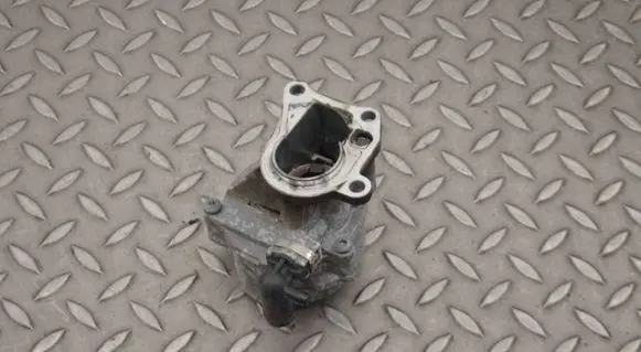 Suzuki Grand Vitara II Vacuum pump 835331 2B250208
