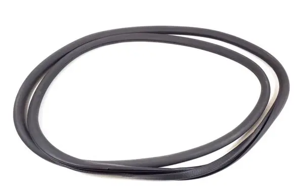 Porsche Panamera (970) Front door rubber seal 97053726601
