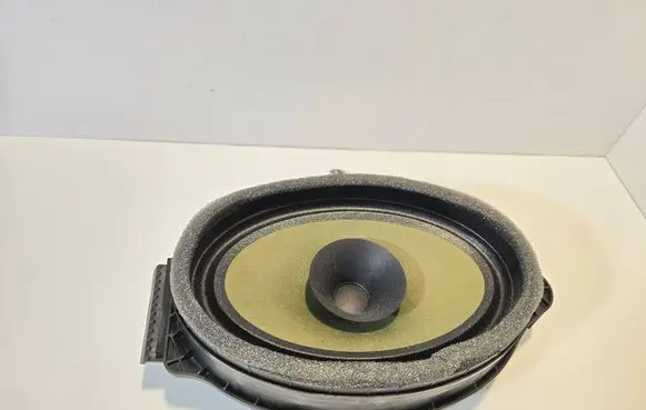 Opel Cascada Rear door speaker 23265819 434107863761