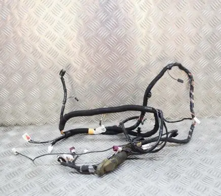 Tesla Model Y Other wiring loom 148905502D