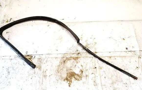 Nissan Qashqai Rubber seal front coupe door 80330jd000