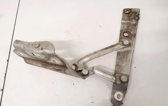 Tailgate/trunk/boot hinge