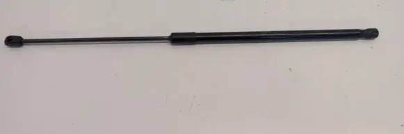 Tailgate strut