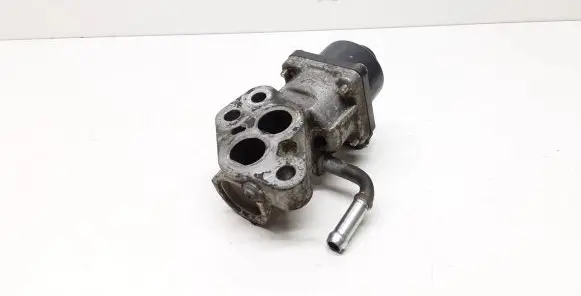 Volvo C30 EGR valve