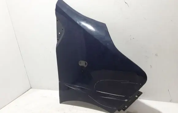 Renault Trafic III (X82) Fender 631001616R