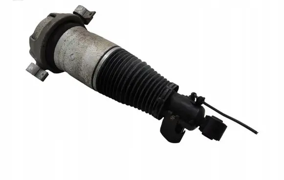 Porsche Cayenne (9PA) Rear shock absorber/damper 7L5616019