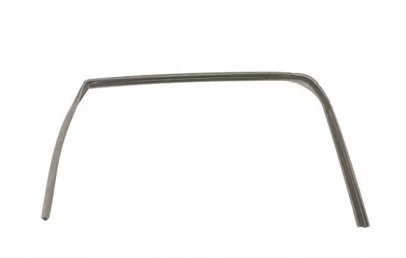 Citroen DS3 Front door rubber seal 9300Z8