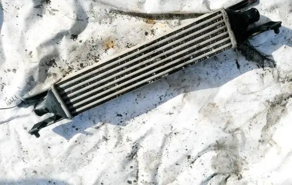 Fiat Punto (188) Intercooler radiator