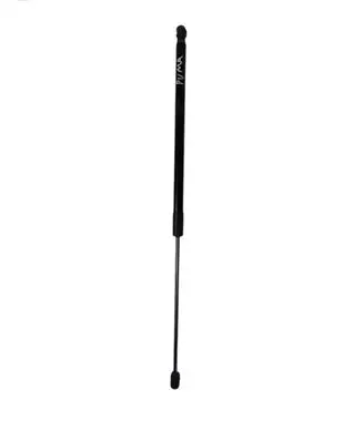 Tailgate/trunk strut/damper