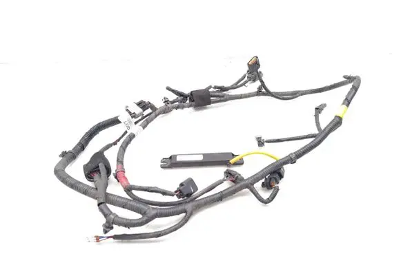 KIA Niro Parking sensor (PDC) wiring loom 91880Q4071 95420G2300