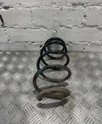 Front coil spring