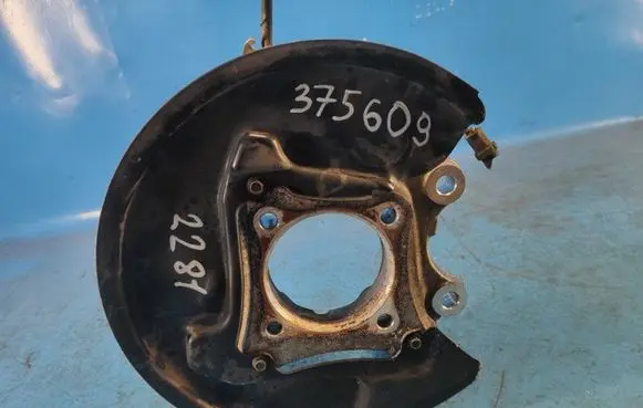 Ford Mustang VI Rear wheel hub spindle/knuckle FR3Z5B759J