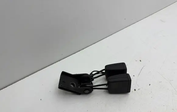 Skoda Enyaq iV Middle seatbelt buckle (rear) 11A857739