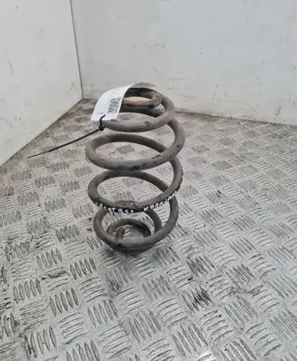 Volkswagen PASSAT B5.5 Rear coil spring